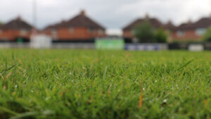 The pitch at Spennymoor Town's Brewery Field