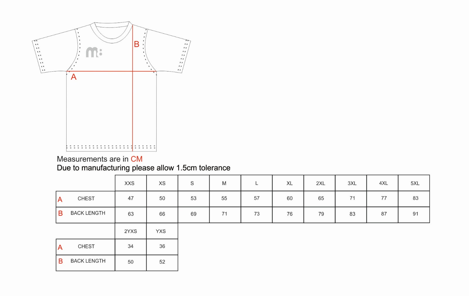 2024/25 Limited Edition Wembley Shirt - Image 4